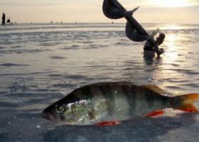 Зимняя рыбалка на Ладожском озере