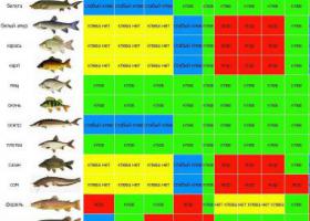 График клева рыбы — краткие рекомендации для рыбалки в разные месяцы года