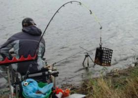 рыбалка ловля карася на донные снасти