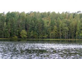 Природа Тверской области, фото