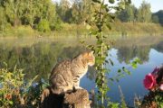 Летняя рыбалка в Подмосковье