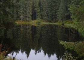 Спиннинг для малых рек