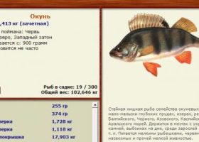 Онлайн игра Русская рыбалка
