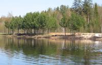 Клинский рыбхоз