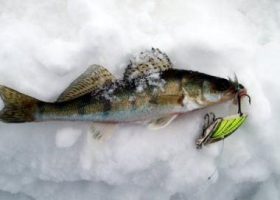 Зимняя рыбалка на Каме