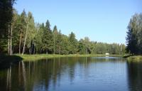 Рыбалка Клевое место