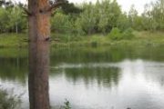 Минино
