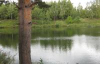 Минино