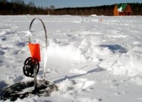 Ловля щуки на жерлицы зимой 2021