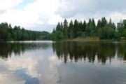 Рыбалка на Дубешне