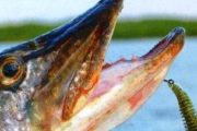 Воблеры Megabass