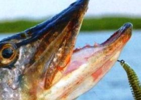 Воблеры Megabass