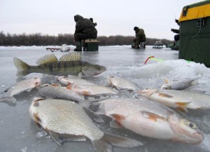 ловля