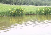 Рыбалка Велинка