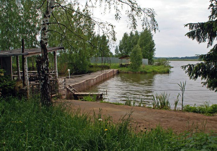 платник 