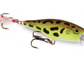 Rapala Skitter Pop