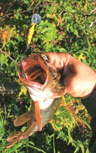 Воблеры Salmo