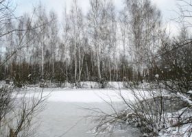 Зимняя рыбалка в Твери