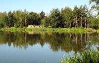 Платная рыбалка Три пескаря