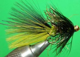 Wooly Bugger