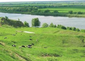 Река Ока