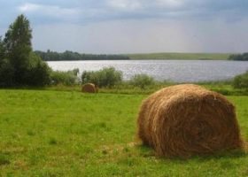 Летняя рыбалка