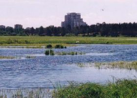 Сестрорецкий Разлив