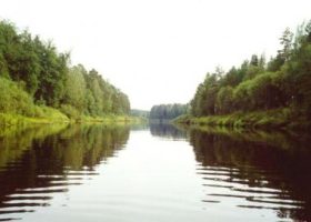 Рыбалка в Нижегородской области