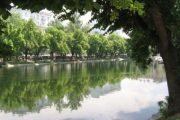 Рыбалка на Чистых прудах