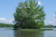 Платная рыбалка в Ростовской области