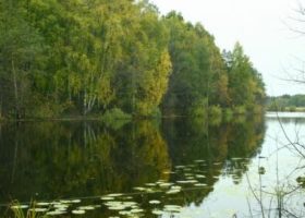 Рыбалка в Кировской области