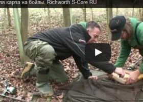 Видео ловли карпа