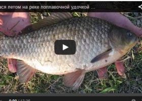 Видео ловли карася