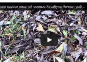 Ловля карася, видео