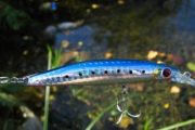 Shimano Ocea Minnow