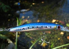 Shimano Ocea Minnow