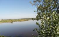 Рыбалка Березняки
