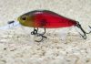 ZipBaits