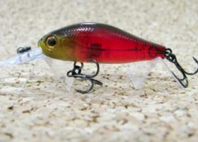 ZipBaits