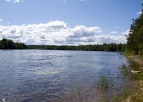 Рыбалка на реке Бурная