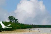 Рыбалка в Приморско Ахтарске