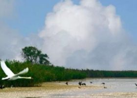 Рыбалка в Приморско Ахтарске