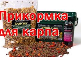 Прикормка для карпа