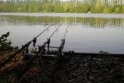 Донная снасть на судака