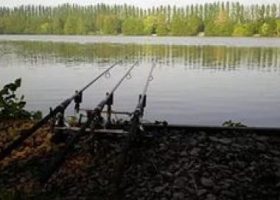 Донная снасть на судака