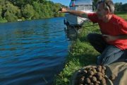 Как прикормить рыбу