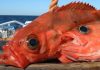 Морской окунь запеченный в духовке