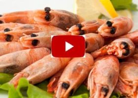 Как варить креветки, видео