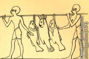 История рыбалки