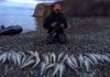 Волгоградское водохранилище